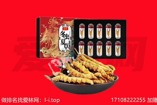 海口回收虫草.jpg